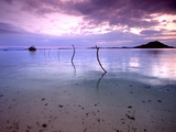 Electricity Cable Supplying Stilt House off Remote Island, Lesser Sunda Archipelago, Indonesia Photographic Print by Jay Sturdevant