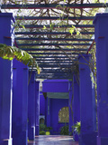 Villa Exterior, Jardin Majorelle and Museum of Islamic Art, Marrakech, Morocco Photographic Print by Walter Bibikow