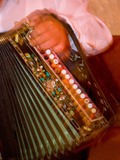 Musician Playing Accordion for Turkish Dancers, Turkey Photographic Print by Darrell Gulin