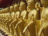 Standing Gold-Colored Buddha Statues at a Buddhist Shrine, Foukuangshan Temple, Taiwan Lámina fotográfica por Steve Satushek Standing Gold-Colored Buddha Statues at a Buddhist Shrine, Foukuangshan Temple, Taiwan Lámina fotográfica por Steve Satushek