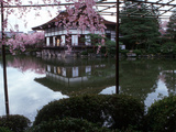 Geishas on the Balcony of Shobi-Kan Teahouse in Garden at Heian Shrine, Kyoto, Japan Photographic Print by Nancy & Steve Ross
