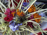 Flowers and Palm Ornaments, Offerings for Hindu Gods at Temple Ceremonies, Bali, Indonesia Lámina fotográfica por John & Lisa Merrill