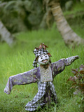 Village Scarecrow, Rice Fields, Near Tegallalan, Bali, Indonesia Photographic Print by John & Lisa Merrill