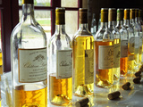 Sauternes Wines at Union Des Grand Crus Tasting, Domaine De Chevalier in Graves, Bordeaux, France Photographic Print by Per Karlsson