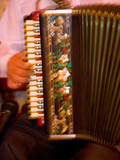 Musician Playing Accordion for Turkish Dancers, Turkey Photographie par Darrell Gulin