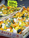 Gourds for Sale at Market Stall, Bergerac, Dordogne, France Photographic Print by Per Karlsson