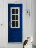 Village Door with Cat, Kokkari, Samos, Aegean Islands, Greece Photographic Print by Walter Bibikow