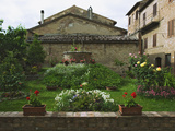 Well and Garden Courtyard, Buonconvento, Italy Photographic Print by Dennis Flaherty