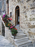 Flower-Lined Stairway, Petroio, Italy Photographie par Dennis Flaherty