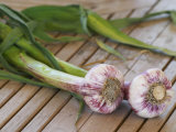 Fresh Garlic on Teak Table, Clos Des Iles, Le Brusc, Var, Cote d'Azur, France Photographic Print by Per Karlsson