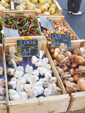 Garlic, Onions and Pimiento Peppers at Market Stall, Bergerac, Dordogne, France Photographic Print by Per Karlsson