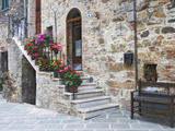Flower-Lined Stairway, Petroio, Italy Photographic Print by Dennis Flaherty