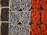 Different Berries at the Outdoor Market, Stockholm, Sweden Photographic Print by Nancy & Steve Ross
