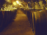 Wine Cellar with Tunnels of Wooden Barrels and Tokaj Wine, Royal Tokaji Wine Company, Mad, Hungary Photographie par Per Karlsson