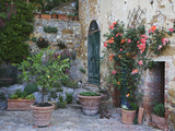 Potted Plants Decorate a Patio in Tuscany, Petroio, Italy Photographie par Dennis Flaherty