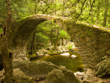 Genoan Bridge in Vegetation of Gorges De Spelonca, Ponte De Zaglia, Corsica, France Photographic Print by Trish Drury