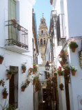 Calleja De Las Flores (Flower Alley), Spain Photographic Print by Lynn Seldon