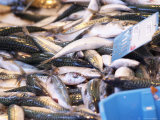 Street Market, Merchant's Stall with Fish, Sanary, Var, Cote d'Azur, France Lámina fotográfica por Per Karlsson
