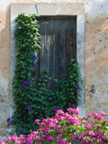 Detail of Old House, Assos, Kefalonia, Ionian Islands, Greece Photographic Print by Walter Bibikow