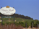 Sign for Domaine Laroche and the Les Clos Grand Cru Vineyard, Chablis, France Photographic Print by Per Karlsson