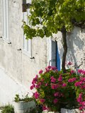 Hillside Vacation Villa Detail, Assos, Kefalonia, Ionian Islands, Greece Photographic Print by Walter Bibikow