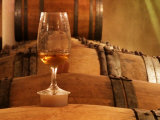 Glass of White Wine on Bung Hole Stopper, Wine Cellar of Jo Pithon, Loire Valley, France Photographic Print by Per Karlsson