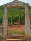 Stone Portico to the Vineyard Chevalier-Montrachet, Chartron Dupard, France Photographic Print by Per Karlsson
