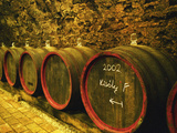 Kiralyudvar Winery Barrels with Tokaj Wine, Tokaj, Hungary Photographic Print by Per Karlsson