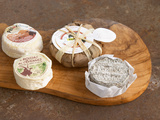 French Goat Cheese, Clos Des Iles, Le Brusc, Cote d'Azur, Var, France Lámina fotográfica por Per Karlsson