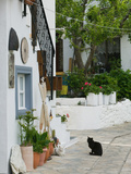 Street View with Black Cat, Manolates, Samos, Aegean Islands, Greece Photographie par Walter Bibikow