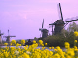 Windmills Along the Canal in Kinderdijk, Netherlands Photographic Print by Keren Su