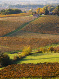 View Over the Vineyards in Bergerac, Chateau Belingard, Bergerac, Dordogne, France Photographic Print by Per Karlsson
