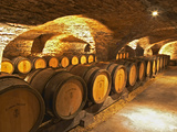 Oak Barrels in Cellar at Domaine Comte Senard, Aloxe-Corton, Bourgogne, France Photographic Print by Per Karlsson