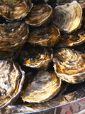 Plate of Oysters, France Fotografie-Druck von Per Karlsson