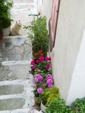 Street Detail, Vathy, Samos, Aegean Islands, Greece Photographic Print by Walter Bibikow