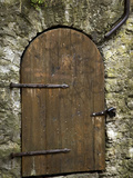 Detail of Old Wooden Door in Stone Wall, Tallinn, Estonia Photographic Print by Nancy & Steve Ross