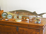 Table of Fish, Caviar, Tins, Glass Jars with Pate Photographic Print by Per Karlsson