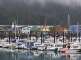 Harbor in the Coastal Town of Seward, Alaska, USA Photographic Print by Dennis Flaherty