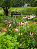 Medicinal Garden, Oakland House Seaside Resort, Brooksville Photographie par Jerry & Marcy Monkman