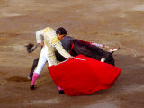 Matador at Monumental El Paso, Bullfight (Fiesta Brava), San Luis Potosi, Mexico Fotografie-Druck von Russell Gordon