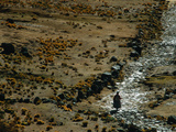 Native Peoples, Inca Road, Empires of the Sun, Lake Titicaca, Copacabana, Andes, Bolivia Photographie par Kenneth Garrett
