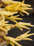 Chicken Legs Displayed in Market, Cuzco, Peru Photographic Print by John & Lisa Merrill