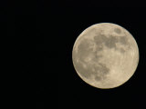 Luna llena SPAC047 Lámina fotográfica por Arthur Morris