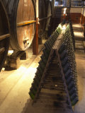 Oak Aging Vats and Pupitres for Fermenting Sparkling Wine, Bodega Pisano Winery, Progreso, Uruguay Photographie par Per Karlsson