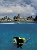 Woman Scuba Diving, Bonaire, Caribbean Photographic Print by Amos Nachoum