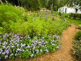 Flower Garden, Oakland House Seaside Resort, Brooksville Impressão fotográfica por Jerry & Marcy Monkman