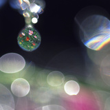 Abstract of Dew Drops on Flowers Photographic Print by Steve Satushek