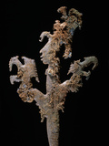 Flints, Maya, Copan, Honduras Photographie par Kenneth Garrett