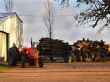 Farm with Old Red Tractor and Firewood, Montevideo, Uruguay Photographic Print by Per Karlsson