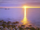 Sunrise on Fog and Shore Rocks on the Atlantic Ocean, Acadia National Park, Maine, USA Fotografie-Druck von Christopher Talbot Frank